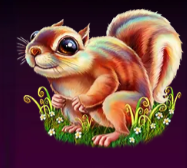 Символ игрового автомата Forest Guardian Белка