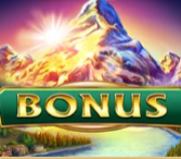 Символ игрового автомата Wild Country Бонус