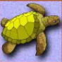 Символ игрового автомата Island 2 Черепаха