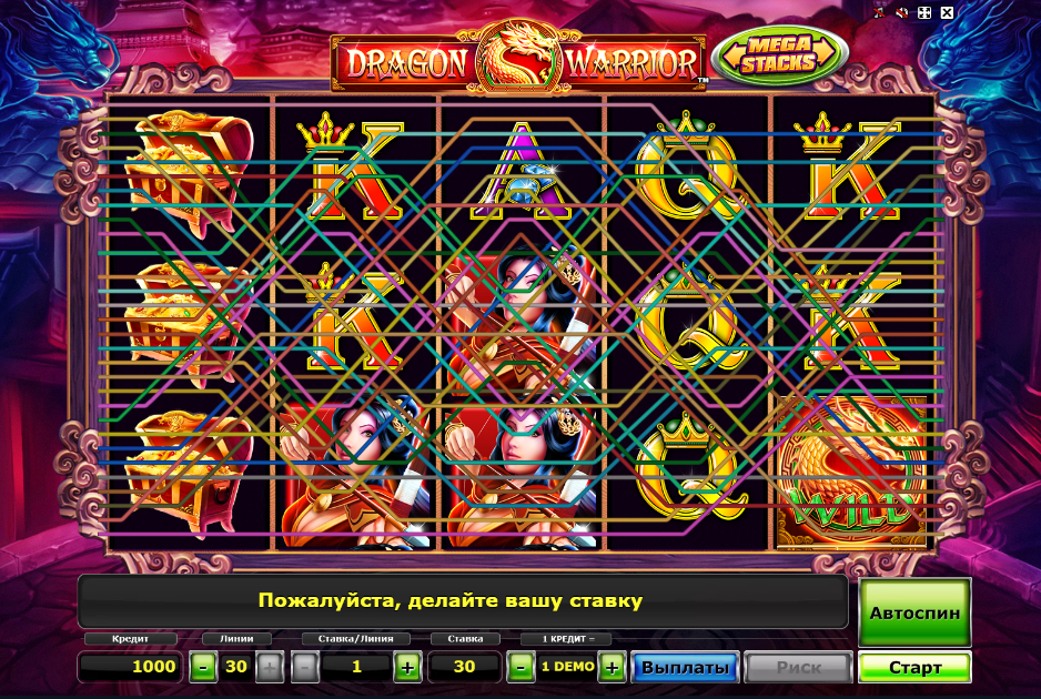 Изображение автомата Dragon Warrior 