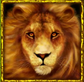 Символ игрового автомата African Simba Лев