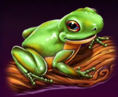 Символ игрового автомата Forest Guardian Лягушка