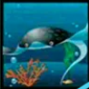 Символ игрового автомата Dolphin’s Pearl Морское существо 2