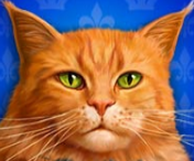 Символ игрового автомата Diamond Cats Рыжий кот