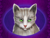 Символ игрового автомата Cutie Cat Серый кот
