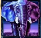 Символ игрового автомата Safari Heat Слон