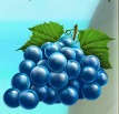 Символ игрового автомата Fruit Burst Виноград